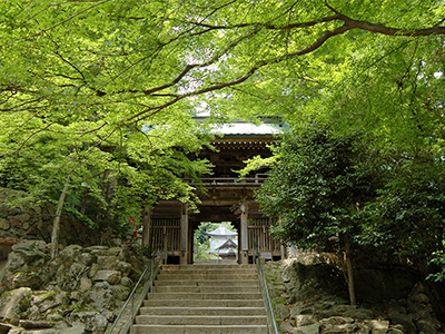 塩江・東讃の画像２